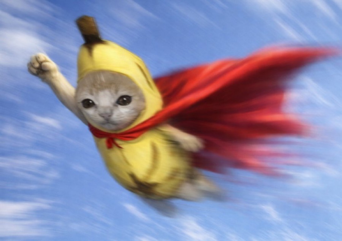 Bibi Labu banana warrior cat kneeling in a glowing crystal cave, wielding a pickaxe, with his legendary symbol shining on the cave wall — the origin of the warrior